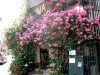 常連様に愛されて30年！薔薇に囲まれた隠れ家セレクトショップ東京都  Ery de vacansを訪問！