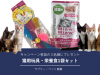 愛猫との暮らしを楽しむ！ラブリー・ペット商事「猫用玩具・成猫用栄養食1パック」をSNSキャンペーン参加の3名様にプレゼントします。