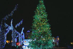 LED・イルミネーションでキラキラクリスマスな冬のおもてなし提案をしよう（2023年版）