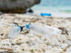 海だけでなく人にも影響を及ぼす「海洋プラスチックごみの問題」をお店の視点で考えてみよう。