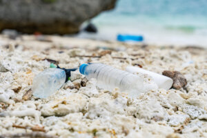海だけでなく人にも影響を及ぼす「海洋プラスチックごみの問題」をお店の視点で考えてみよう。