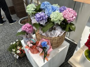 【動画配信】6/30（月）10:00～2025年秋冬プリザーブドフラワー・ドライフラワーのトレンドをお届け！「大地農園」内見会の様子をたっぷりご紹介