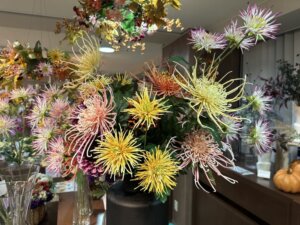 【動画配信】7/1（火）10:00～「東京堂」季節を大切に伝える2025年秋冬展示会